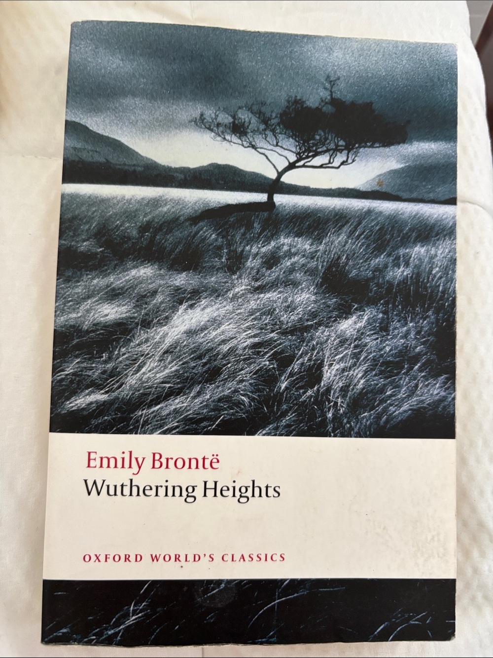 Emily Brontë Wuthering Heights - Black/Gray Cover